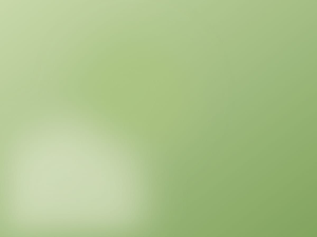 Pandan Chiffon